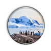 Antarctic Magnet