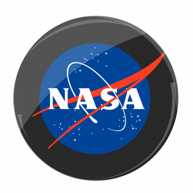 Official NASA Lapel Pin