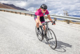 productimages/335.4/berry-slice-cycling-jersey3763.jpg