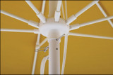 productimages/od-zes-mus yel-2.7/od-zes-mus yel-2.7-8.jpg