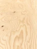 Ash, Burled  Wood Veneer