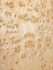 Mappa Burled Wood Veneer