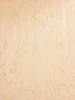 closeup of maple rotary cut veneer