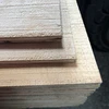 Edge View