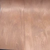 Sapele Wood Veneer