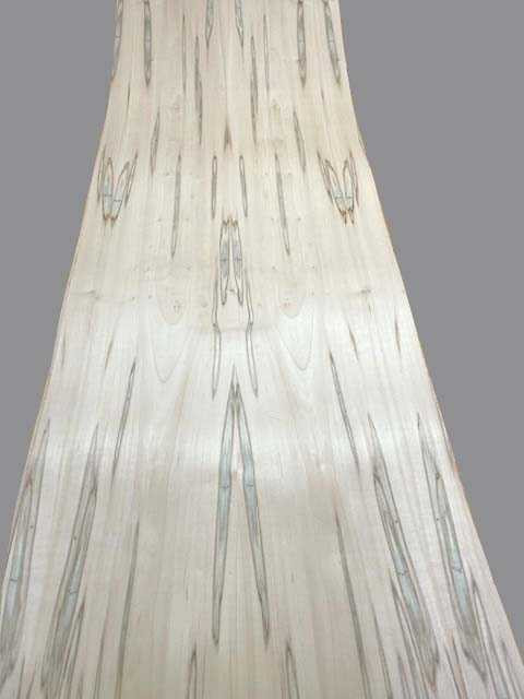 Maple, Wormy Wood Veneer