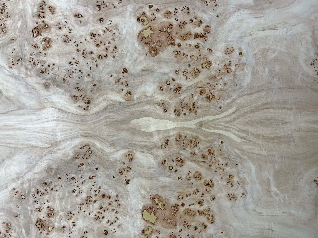 Mappa Burled Wood Veneer close up
