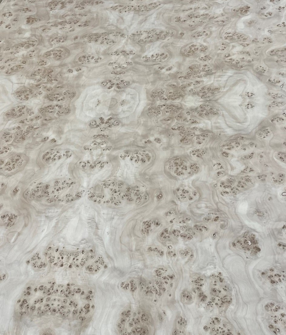 Mappa Burled Wood Veneer