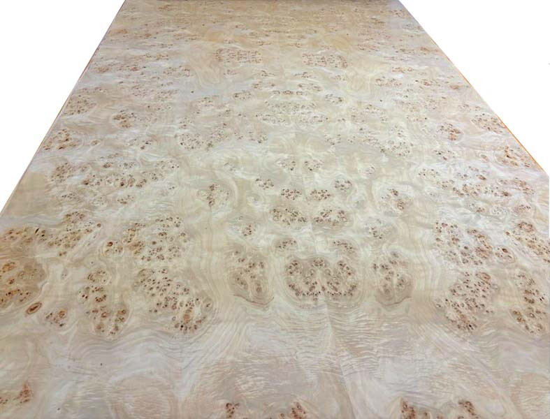 Mappa Burled Wood Veneer