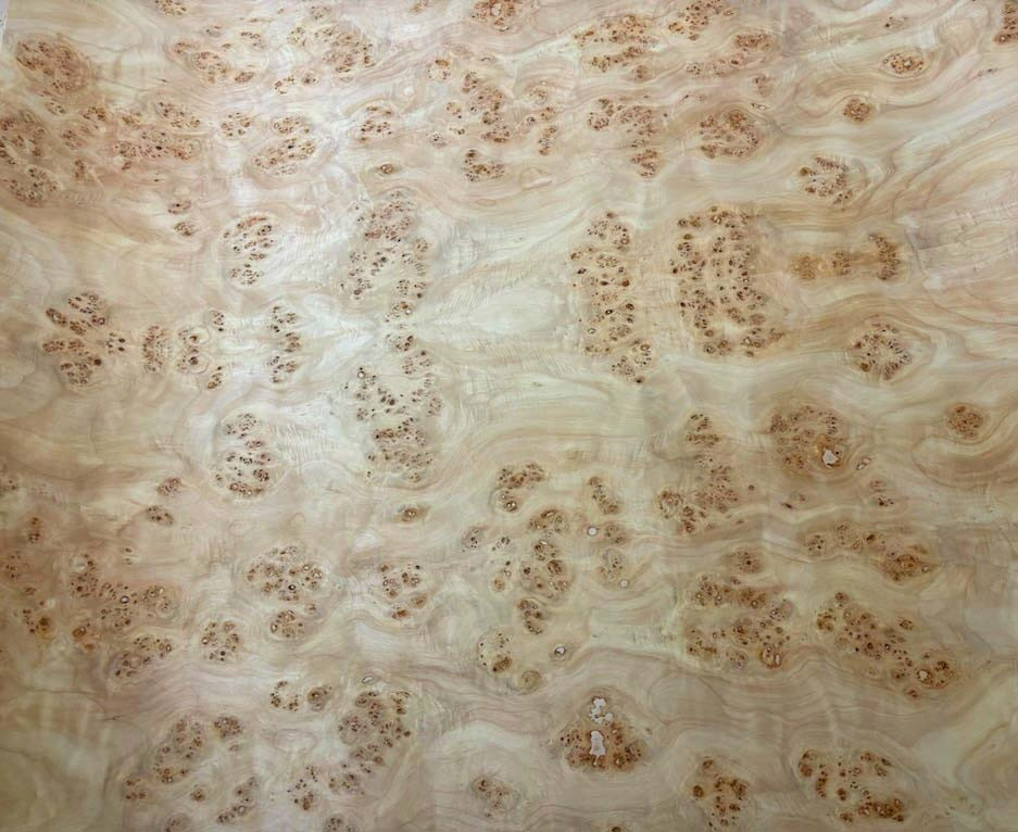 Mappa Burl Veneer