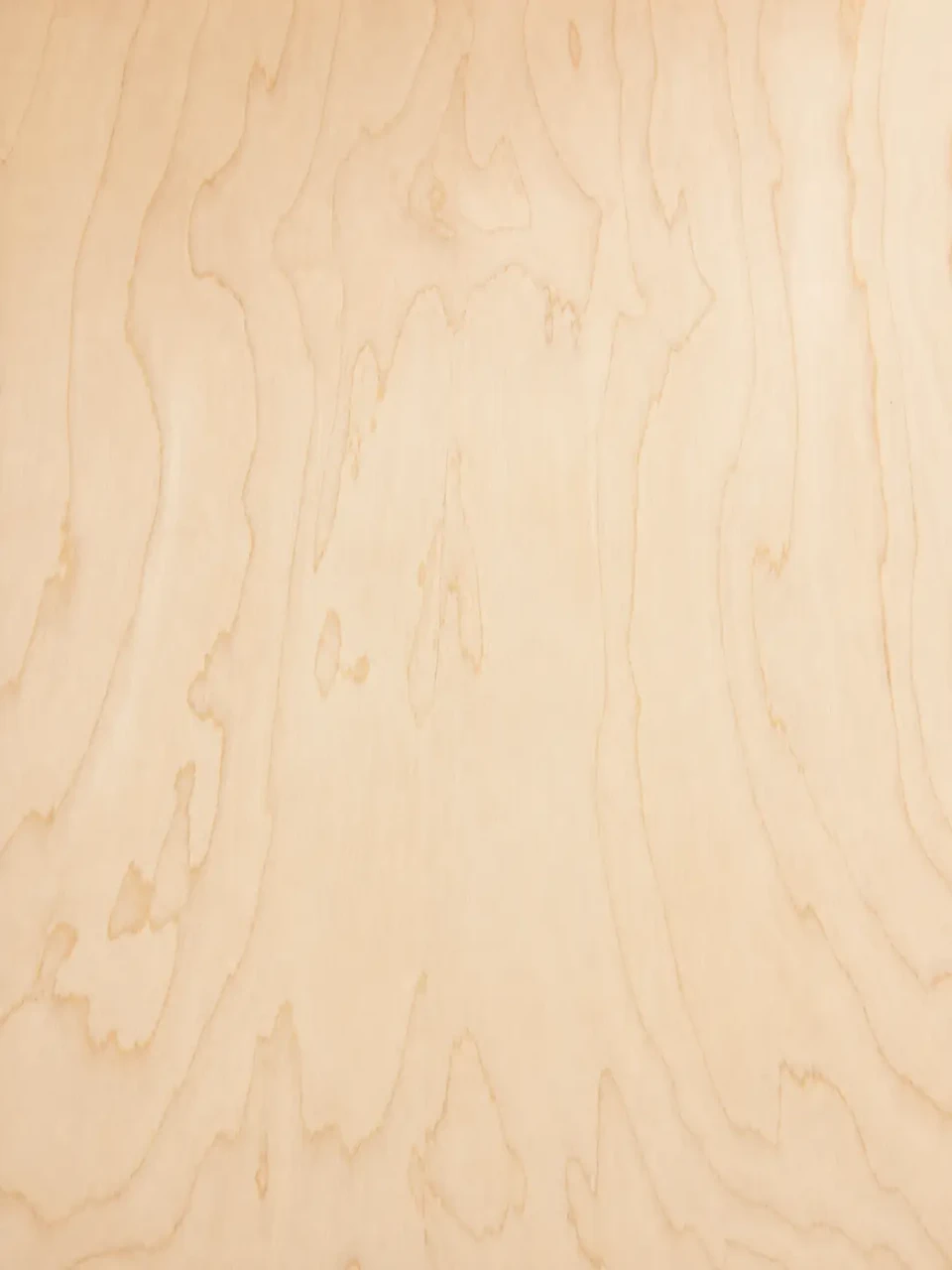 closeup of maple rotary cut veneer