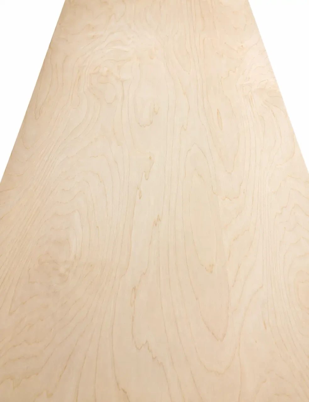 Maple rotary cut veneer, can have small knots