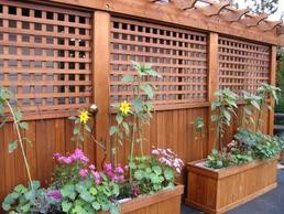 Square Garden Cedar lattice as a fence