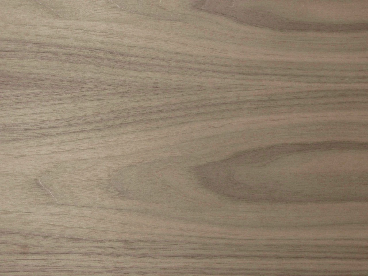 Black Walnut Plywood