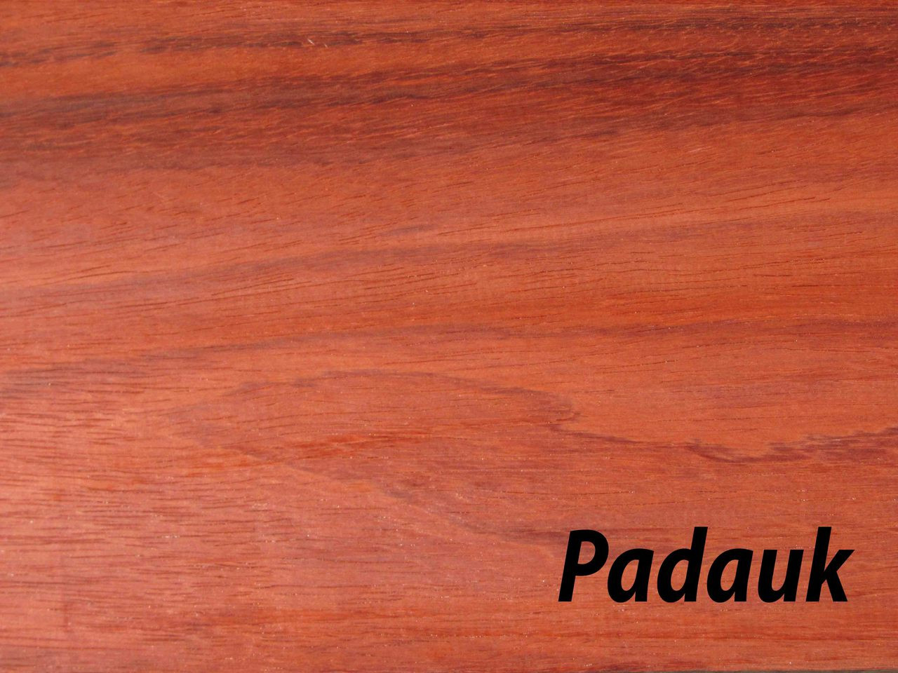 Closeup of Padauk grain