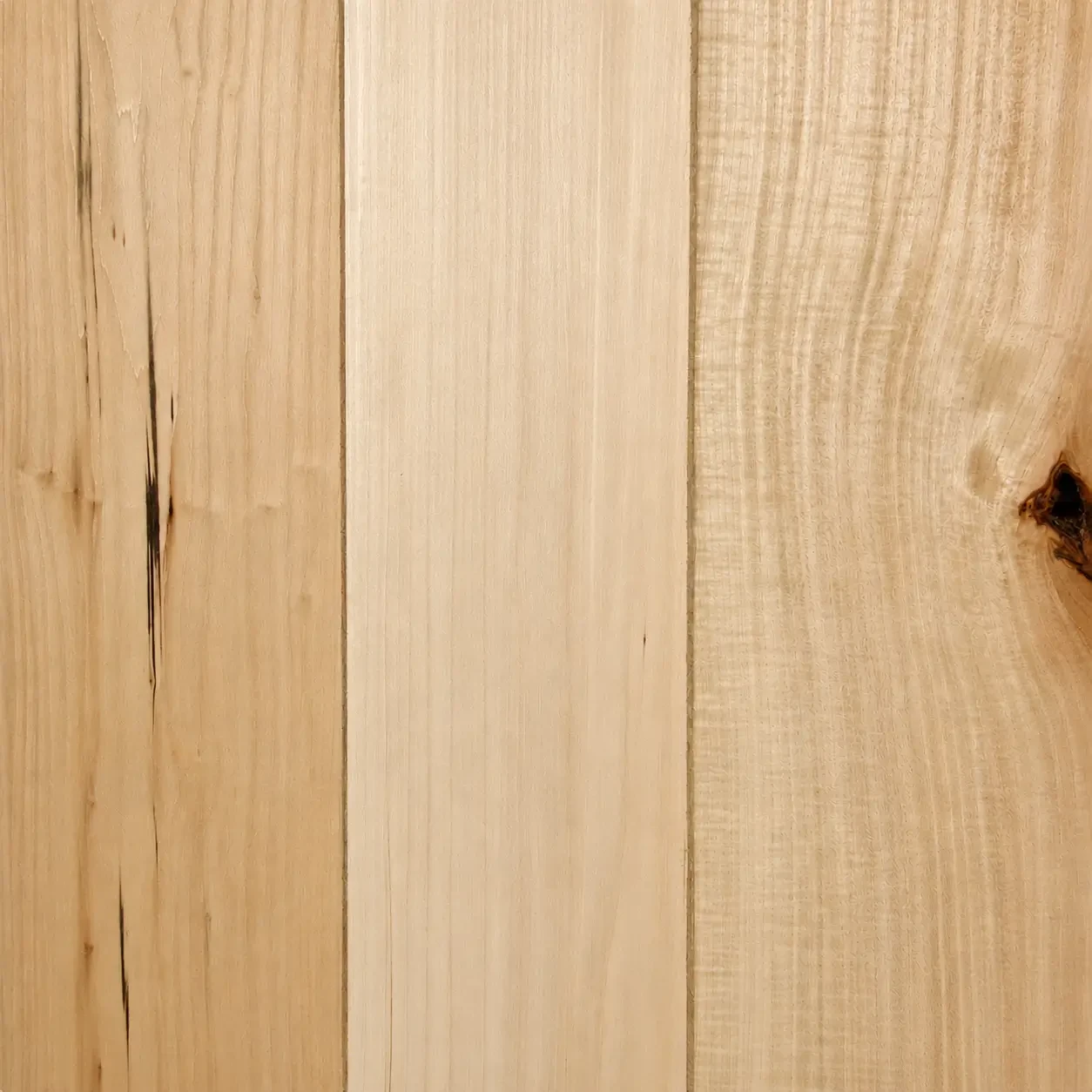 Close  up of Basswood