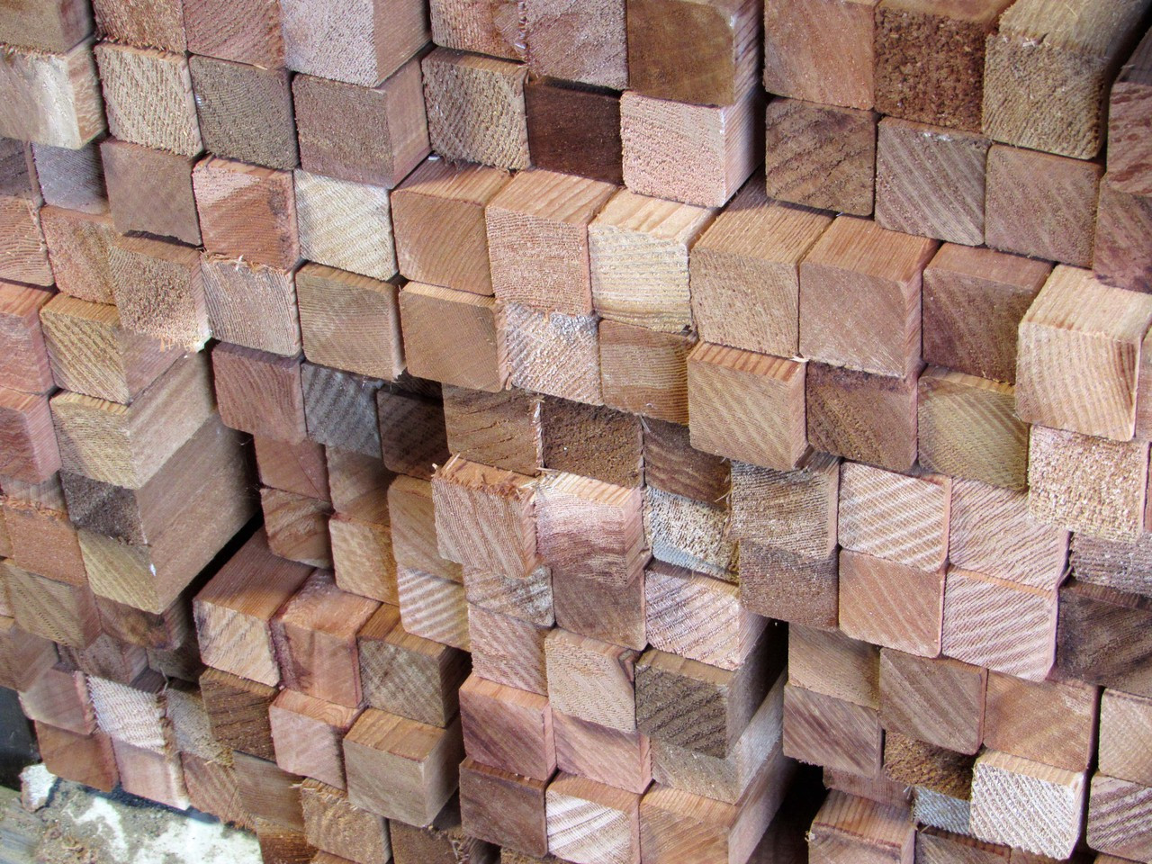 48 Hardwood Dowels in 6 species - Total Wood Store