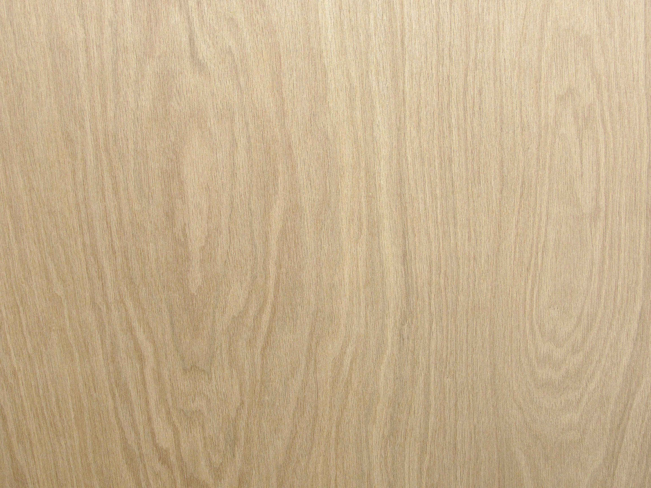 Oak, White Plywood Redi-Cuts