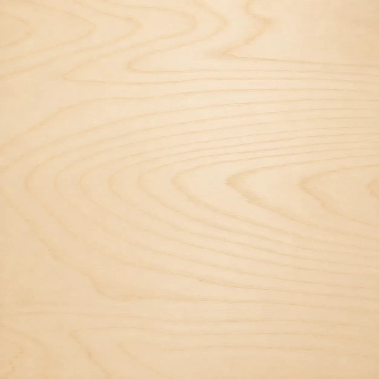 White Ash Plywood Full Sheets (4' x 8')
