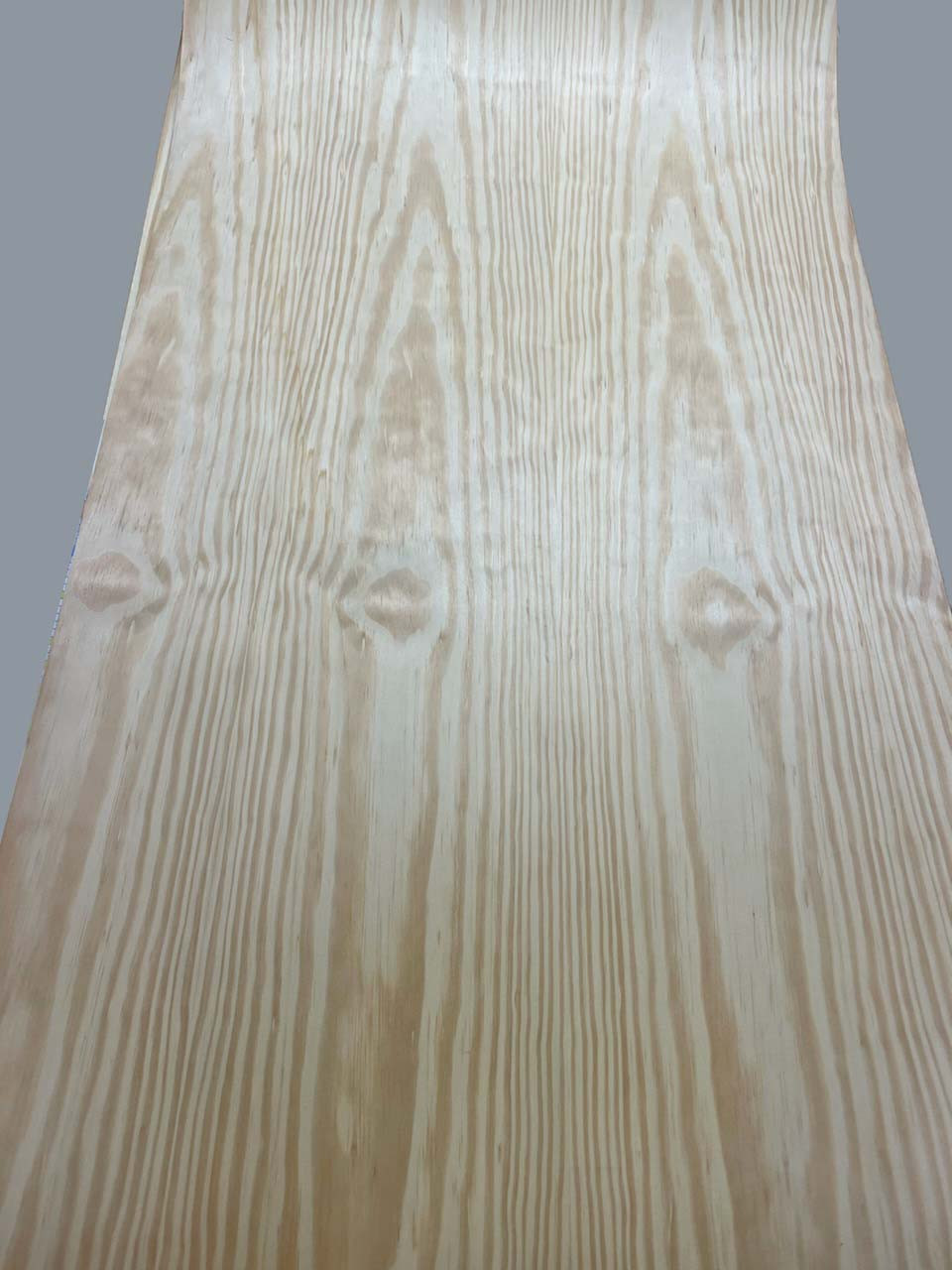 Carolina Pine Wood Veneer