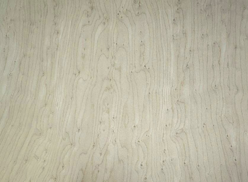 Closeup of Birdseye Veneer