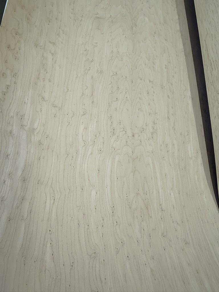 Maple, Birdseye, Wood Veneer