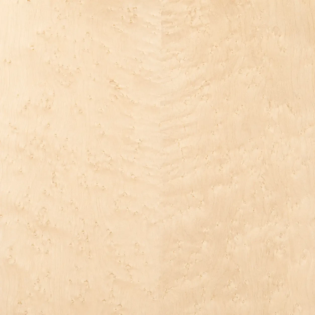 Birdseye Maple veneer closeup