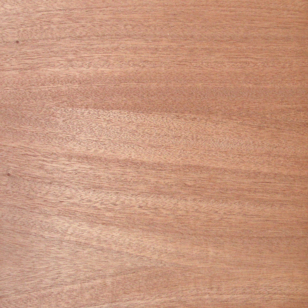 closeup of Mahogany