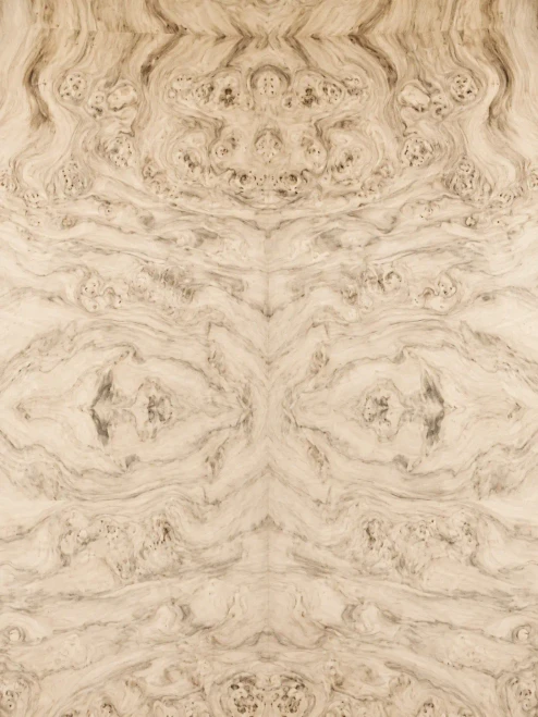 walnut burl veneer