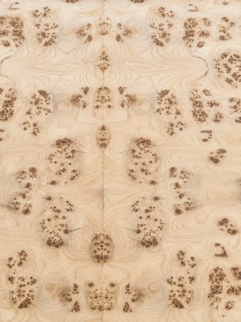 Elm, Burled  Wood Veneer