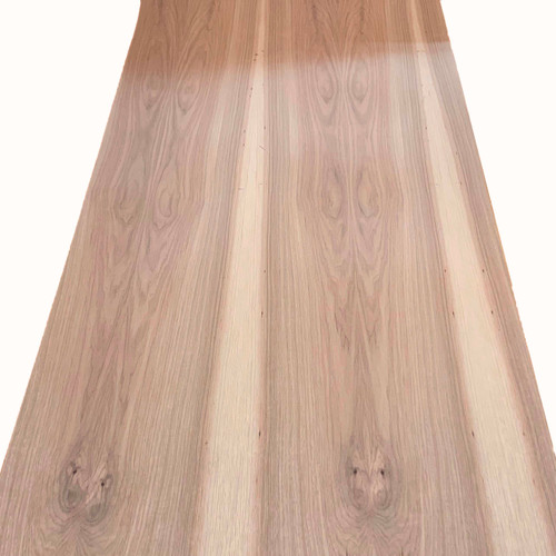Sheet of Hickory Veneer