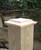 Cedar