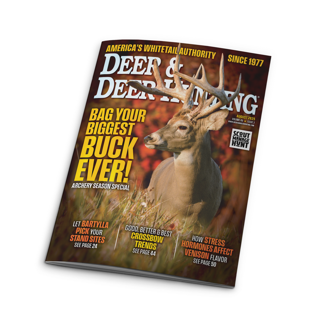 2025 deer hunting pictures