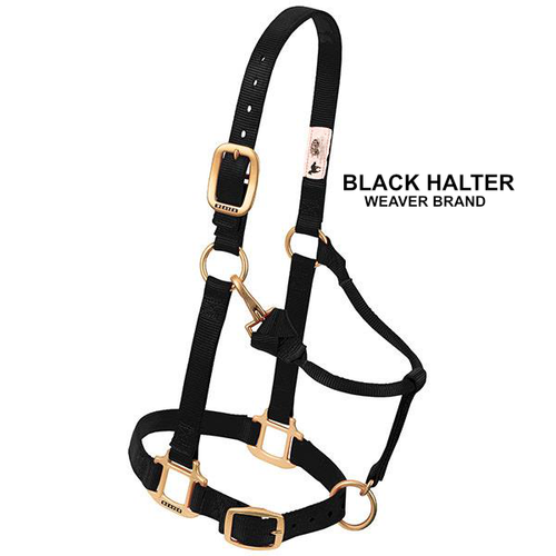 Custom Monogrammed Horse Halter - Yearling Size