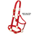 Monogrammed Horse Halter - Average Mini Size