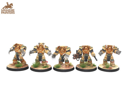 CATAPHRACTII TERMINATORS (x10)