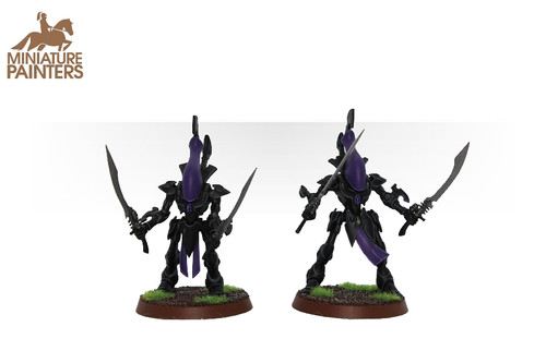 CRAFTWORLDS WRAITHBLADES - MINIATURE PAINTERS