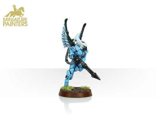 CRAFTWORLDS SWOOPING HAWKS - MINIATURE PAINTERS