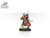 SILVER Skitarii Vanguard