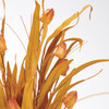 Artificial Fall Grasses & Pods Bouquet 18 Inch from Primitives by Kathy