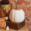 Decorative Tall White Glaze Stoneware Pumpkin Figurine - 6.25 In x 6.75 In - Fall & Harvest Collection from Primitives by Kathy