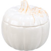 Decorative White Glaze Pumpkin Shaped Treat Cookie Jar - 6 Inch - Fall & Harvest Collection from Primitives by Kathy