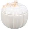 Decorative White Glaze Pumpkin Shaped Treat Cookie Jar - 6 Inch - Fall & Harvest Collection from Primitives by Kathy