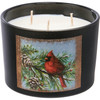 Matte Black Jar Candle - Winter Cardinal In Snowy Pines - Spruce Scent 14 Oz from Primitives by Kathy