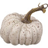 Set of 5 Decorative Pumpking Figurines - Speckled Brown & White - Fall & Harvest Collection from Primitives by Kathy
