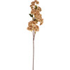 Set of 12 Decorative Artificial Flora Picks - Cream Cherry Blossom - 32 Inch from Primitives by Kathy