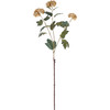 Set of 12 Decorative Artificial Flora Picks - Cream Viburnum - 38.5 Inch from Primitives by Kathy