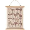 Decorative Hanging Wall Decor Canvas Sign - Mushroom Species 11.75 In x 15.75 In - Cottage Collection from Primitives by Kathy