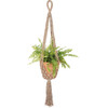 Macrame Cotton Plant Hanger - Open Fishnet Design - 39 Inches - Botanical Collection from Primitives by Kathy