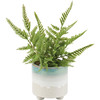 Decorative Ceramic Planter - Glazed Ombre Various Colors - 4.25 In x 4 In from Primitives by Kathy